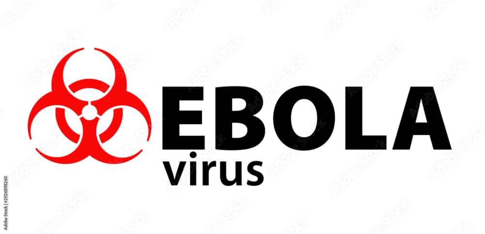 1000 f 2026898260 f8e3c5nnu7ljizbauij7e6rfi9qdrrcn